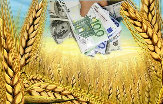 Китай удерживает лидерство среди потребителей сельхозпродукции Украины
