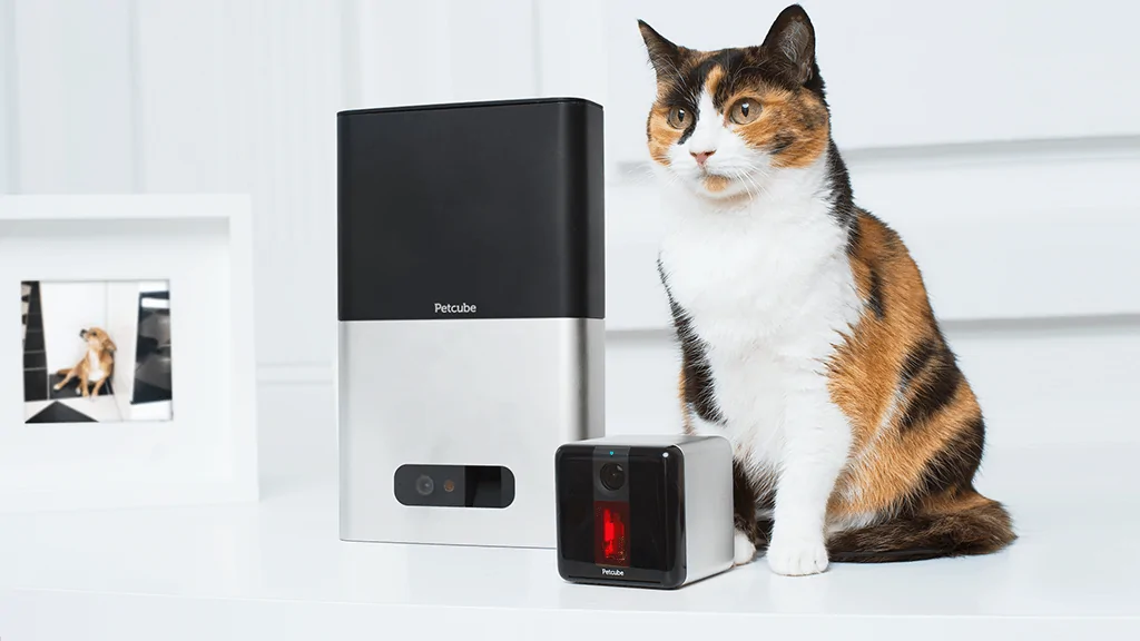 Вы знаете, чем занимается дома ваш домашний питомец? А Petcube знает!